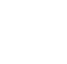 The Shocker